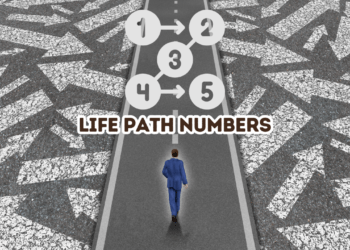 Life Path Numbers