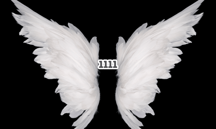 Number 1111