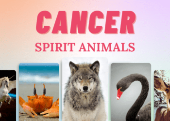 Cancer spirit animal