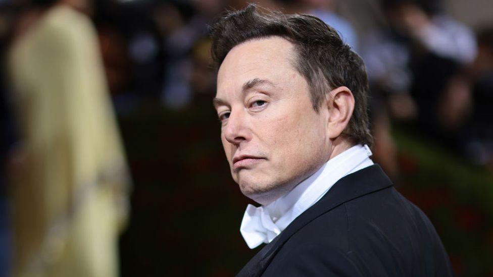 Elon Musk - Zodiac Sign Cancer