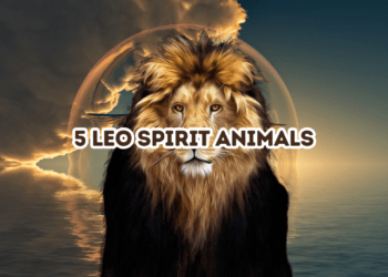 Leo Spirit Animals
