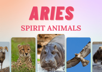 Aries Spirit Animals