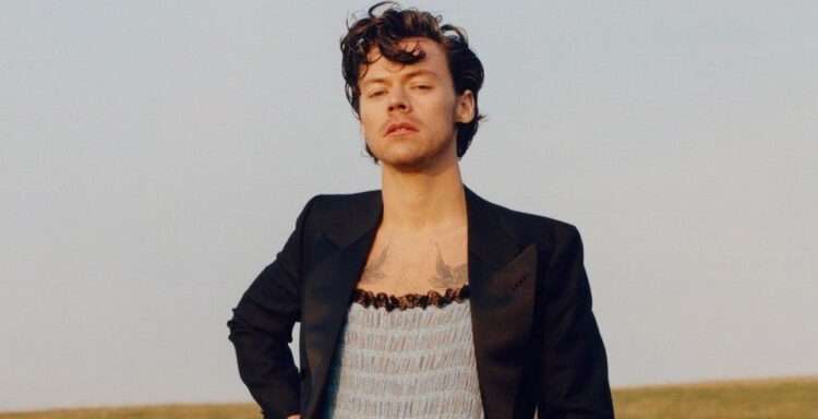 Aquarius Personality Traits - Harry Styles