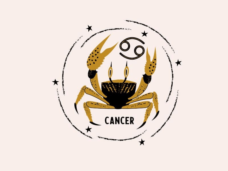 Make Cancer Fall For You: 12 zodiac signs