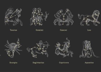 12 zodiac signs