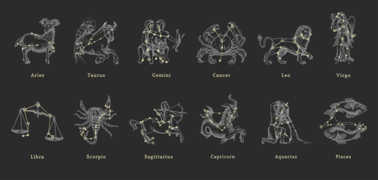 12 zodiac signs