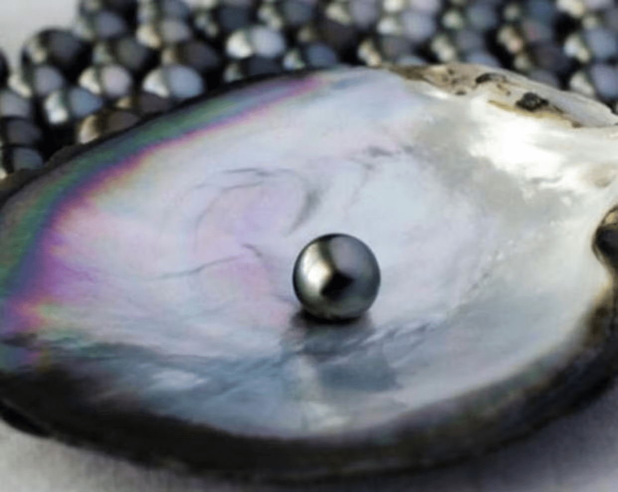 history and discovery of pearl healing properties