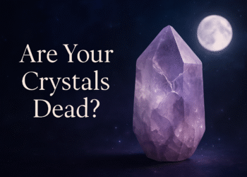 Dead Crystals