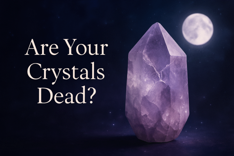 Dead Crystals