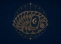 Fan of ornate gold tarot cards with a sun and moon symbol on a navy background, illustrating the history of tarot